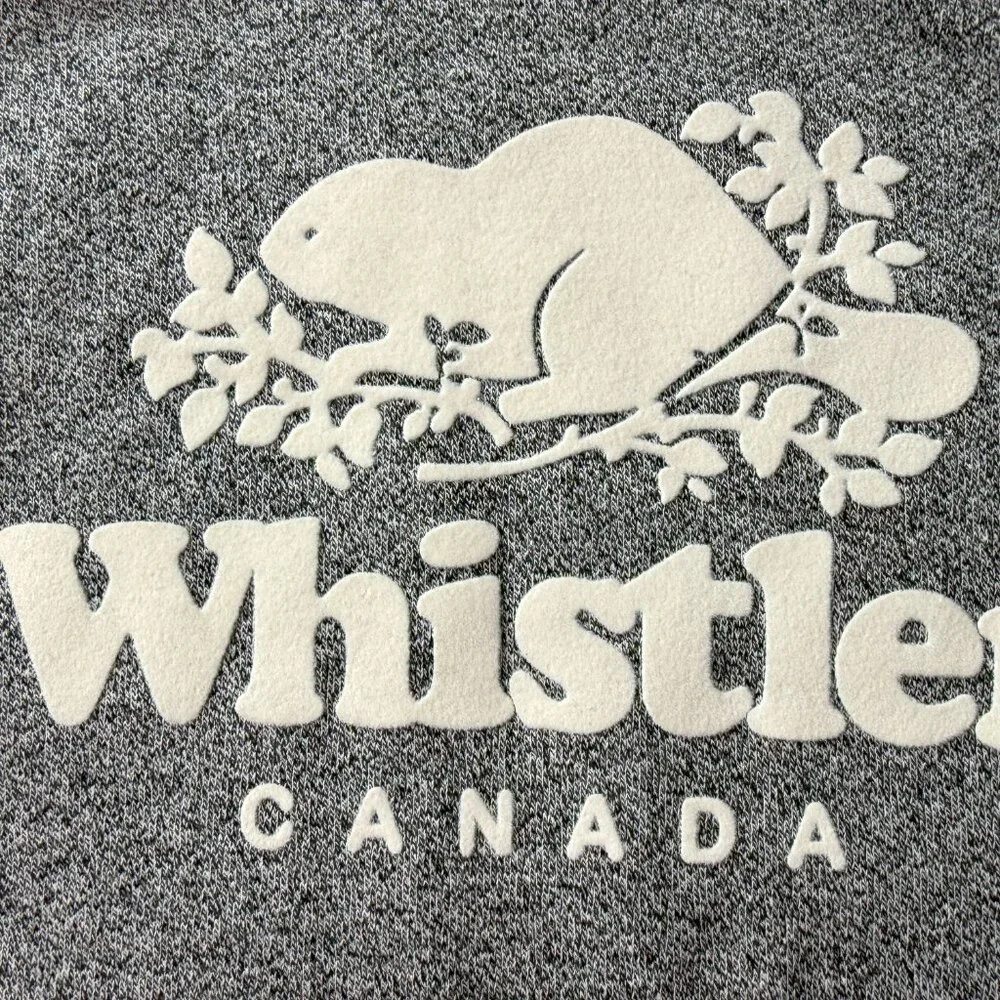 NEW ROOTS Whistler Kanga Hoody Hooded Pullover Sweatshirt Heathered Gray Small - Picture 4 of 10